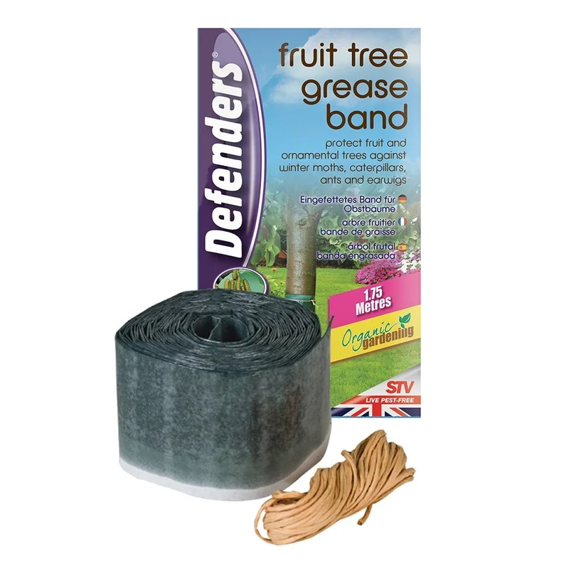 2026_07_16_526154