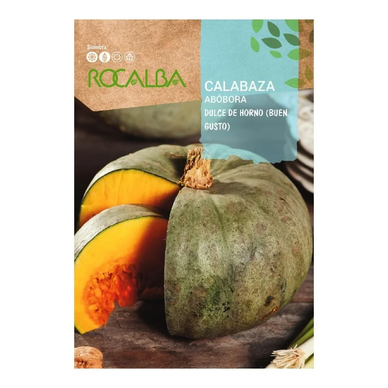 2026_07_17_589967