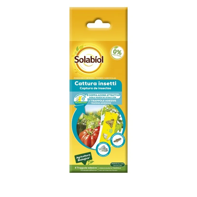 2026_07_17_594258