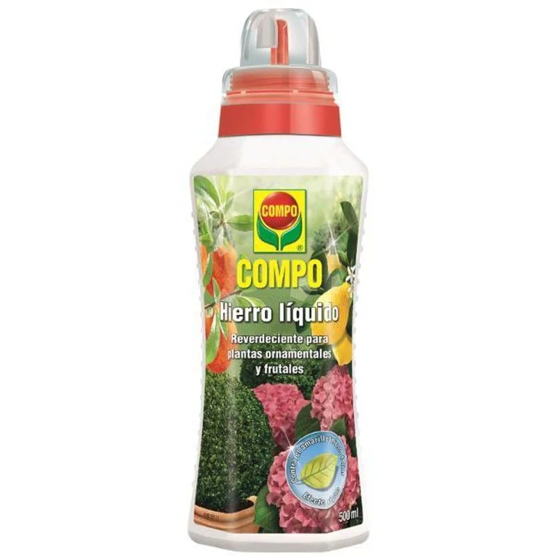 2026_07_17_597637