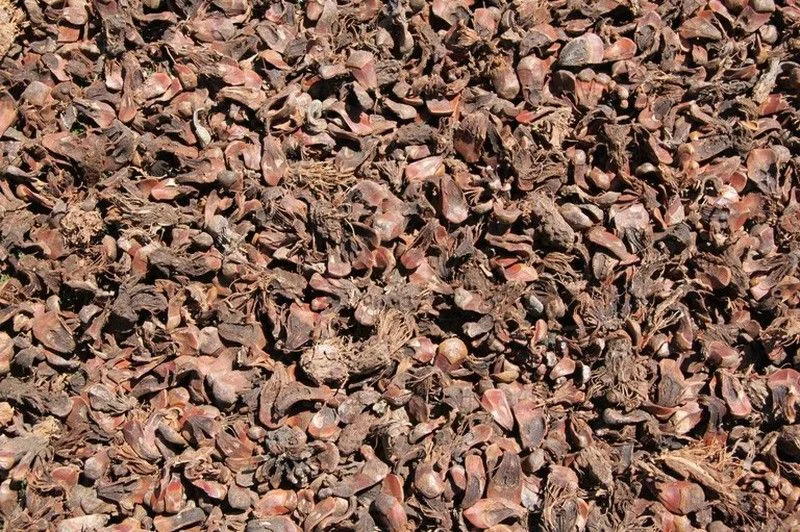 2026_07_17_604078