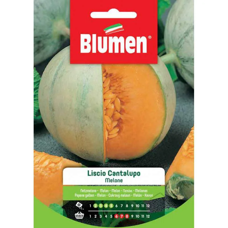 2026_07_17_606066
