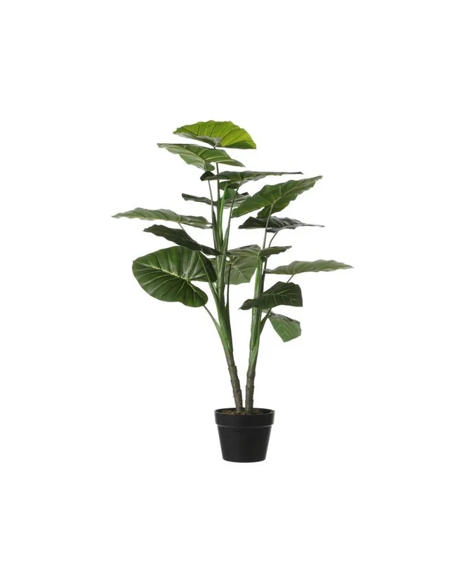 2026_07_17_619274